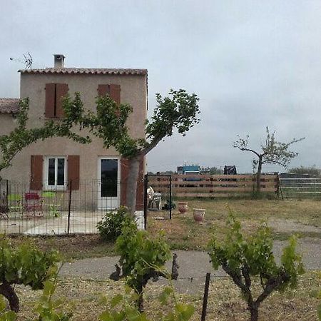 Mas Tarquin Villa Aigues-Mortes Exterior photo
